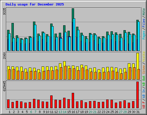 Daily usage for December 2025