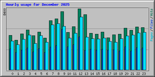 Hourly usage for December 2025