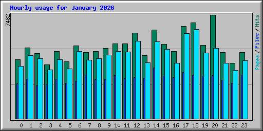 Hourly usage for January 2026