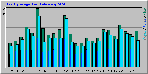 Hourly usage for February 2026