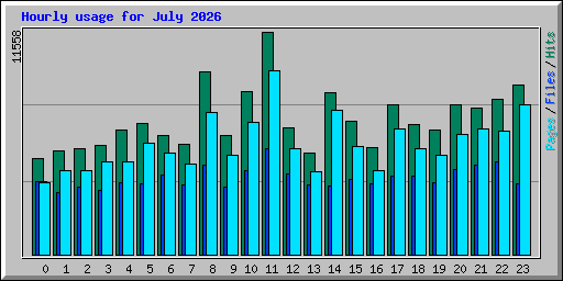 Hourly usage for July 2026
