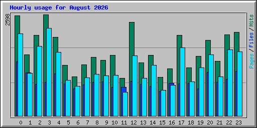 Hourly usage for August 2026